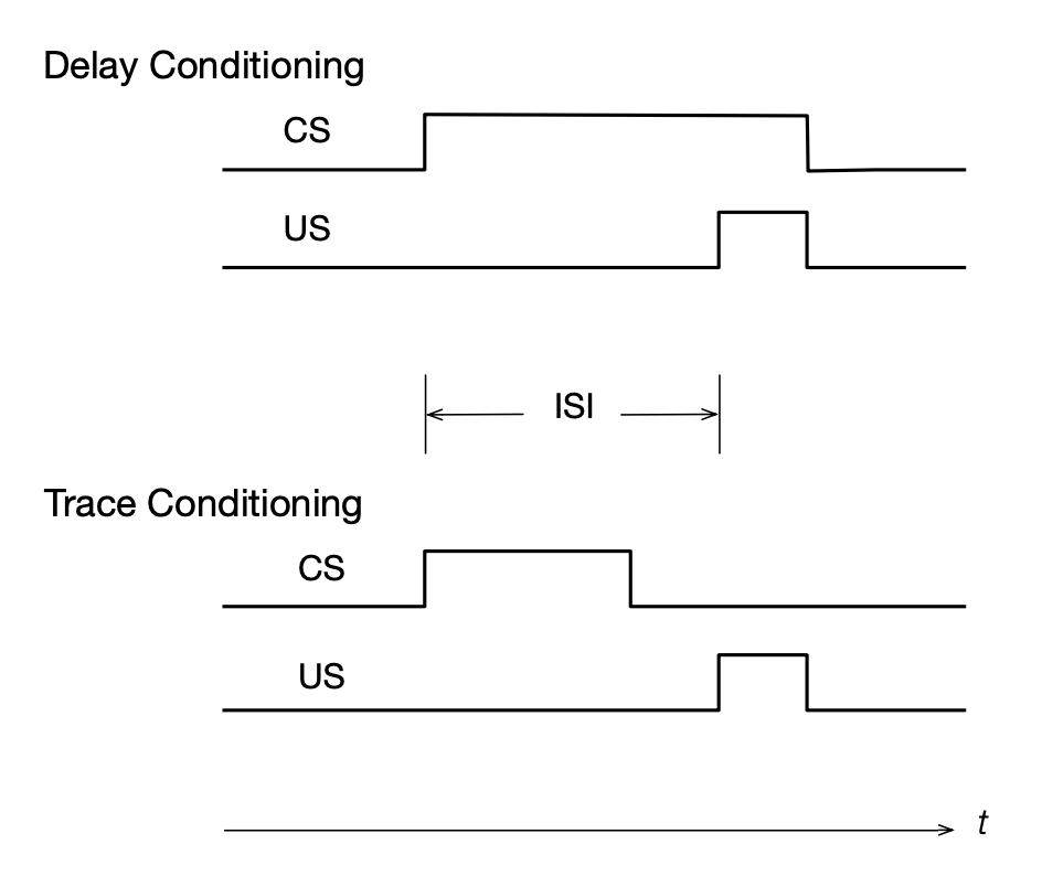 ../../_images/delay_conditioning_trace_conditioning.png
